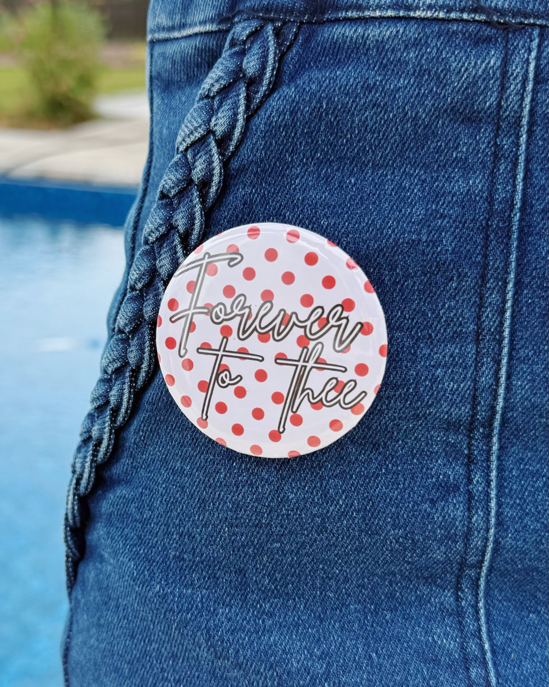 UofSC Game Day Button