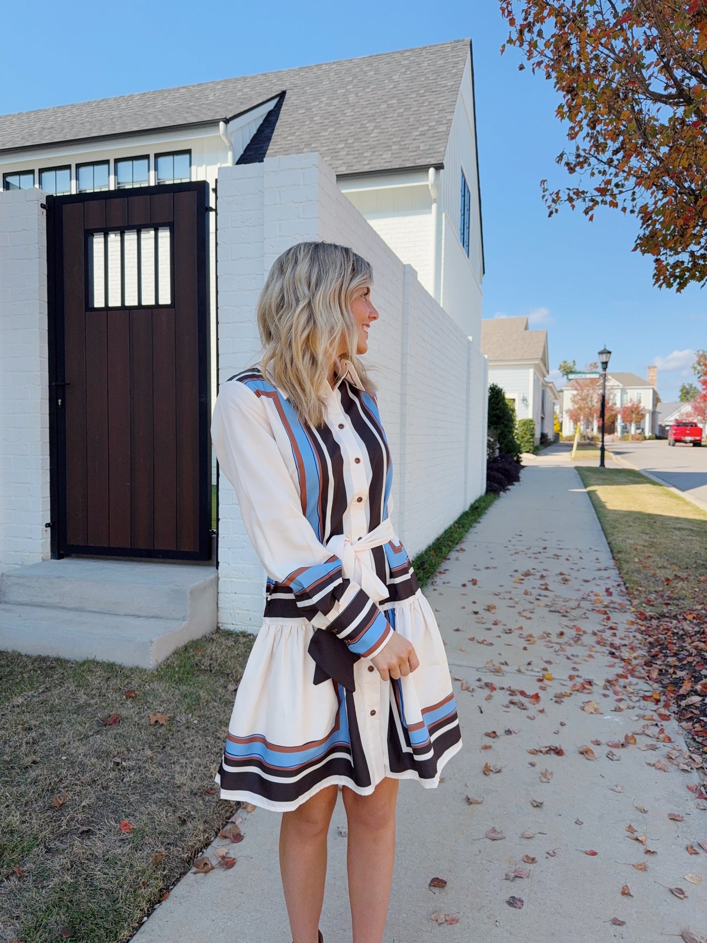 Harlow Striped Button Down Mini Dress